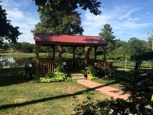 Κήπος έξω από το Rustic Cabin Rental with a Fishing Pond in Allen, Oklahoma