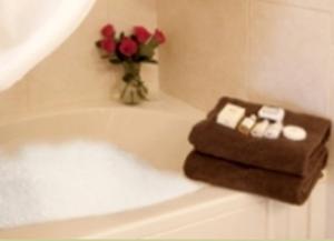 une salle de bain avec un bouquet de roses dans une baignoire dans l'établissement Charming Country Bed and Breakfast Accommodation near Madison, Wisconsin, à Merrimac