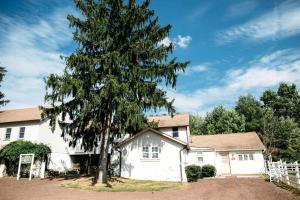 a large tree in front of a white house at Peaceful Bed and Breakfast Accommodation near New Hope, Pennsylvania in Buckingham