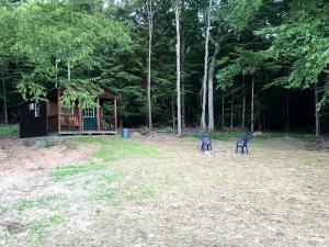 Dos animales de pie en un campo junto a una cabaña. en Log Cabin for Family Glamping Vacation near Cherry Springs State Park, Pennsylvania, en Short Run