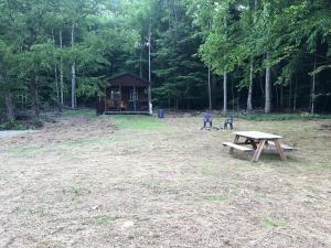 a picnic table and a cabin in the woods at Log Cabin for Family Glamping Vacation near Cherry Springs State Park, Pennsylvania in Short Run
