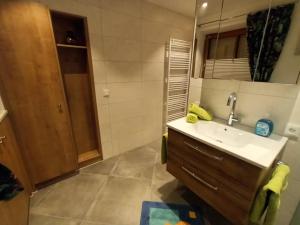 Un baño de Ferienwohnung Steinbacher 11 fotos más
