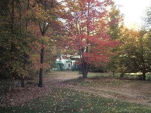 a group of trees with leaves on the ground at Secluded Group Rental in the Woods with Stone Fireplace near Plattsburgh, New York in Severance