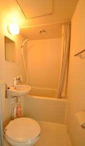 a bathroom with a toilet and a sink and a shower at Hakuba Haven Lodge in Hakuba