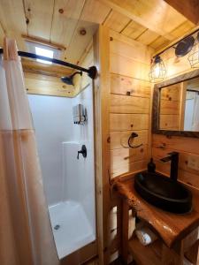 un bagno con lavandino, vasca e WC di Pet-Friendly Tree Cabin by Tappan Lake with Lofted Space in Ohio 