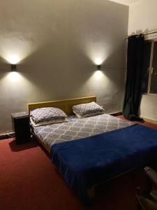 a bedroom with a bed with two pillows on it at Durrani House in Dargai +9 photos