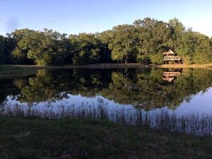 Příroda nedaleko prázdninového domu + 16 fotografií