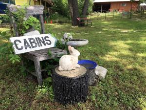 a rabbit sitting on a stump next to a sign at Cozy Cabin near the Gaudalupe River in Old Ingram Loop, Texas in Ingram +2 photos