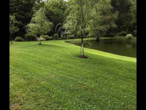 a green lawn with two trees and a pond at Pristine and Cozy Cabin Rental Overlooking Pond near Rochester, New York in Naples +27 photos