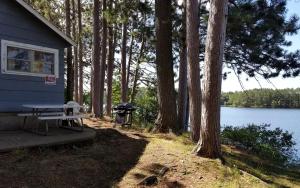 a house with a picnic table next to a lake at Lakeside Cabin Rental with a Boat Launch near Tomahawk, Wisconsin in Tomahawk