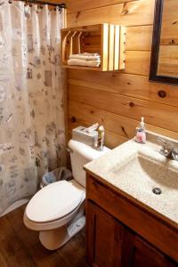 un baño con inodoro y lavabo en Pretty Cabin with Hot-tub in Herod, Illinois, en Karbers Ridge
