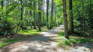 a dirt road in the middle of a forest at Luxury Group Safari Tent Complete with Firepit and Patio, Perfect for a Weekend Escape to the Adirondacks in Corinth