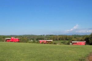 ein Feld mit zwei roten Gebäuden auf einem Feld in der Unterkunft Authentic Caboose in the Blue Ridge Mountains of Virginia in Laurel Fork + 8 Fotos
