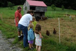 a group of people looking at chickens in a field at Rustic Vacation Rental on a Beautiful Working Farm in Royalton, Vermont in South Royalton