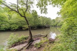DemorestにあるWooden Cabin with Hot-Tub and Pool Table in Demorest, Georgiaの川岸に立つ木 +81枚の写真