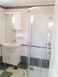 a bathroom with a shower and a sink at Apartment Mikuš in Stinica