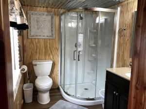 a bathroom with a shower and a toilet at Comfortable Cabin Rental on a Winery for a Romantic Getaway in Oklahoma in Allen