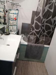 ガルダンヌにあるAppartement 2 chambresの洗面台とシャワー付きのバスルーム