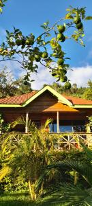 a house with a tree with fruit in front of it at One love archive in Chabahinga