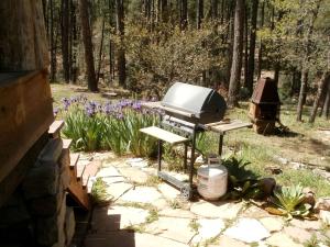 Κήπος έξω από το Rustic Cabin Rental near Tonto National Forest in Payson, Arizona