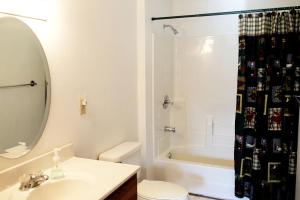 a bathroom with a sink and a shower curtain at Lakefront Vacation Rental with a Deck and Hot Tub near Wisconsin Dells in Tomah