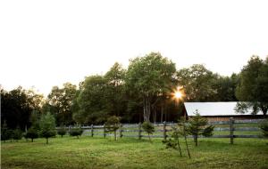 Loodusmaastik puhkemaja lähedal