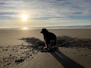 Domácí mazlíčci ubytovaní s hosty v ubytování Cozy Waterfront Cottage with Hot Tub in Lakeside, Oregon