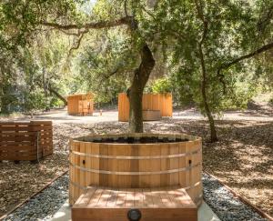 a wooden barrel with a tree in the middle at Tranquil Yurt Rental for Two with Soothing Interior on Ranch near San Luis Obispo in Cayucos