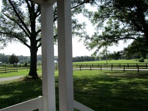 a view of a field with a fence and trees at Serene Countryside Cottage Rental with Screened Porch near Charlottesville, Virginia in Byrd Mill