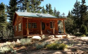 a log cabin in the woods with trees at Romantic Log Cabin in the San Bernardino National Forest of California in Angelus Oaks