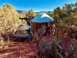 a yurt in the middle of a field with trees at Charming Yurt in the Cibola National Forest near Albuquerque, New Mexico in Tijeras +17 photos
