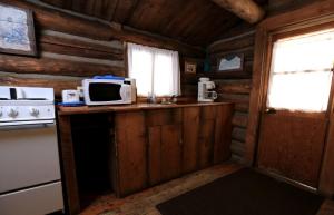 a kitchen in a log cabin with a microwave at Remote Cabin Rental near Pearl Lake in Mountains of Clark, Colorado in Columbine