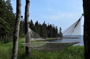 un'amaca sospesa tra due alberi accanto a un lago di Eco-Friendly Peaceful Cabin with Lofted Interior and Water Views in Maine a Steuben