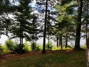 Příroda nedaleko prázdninového domu