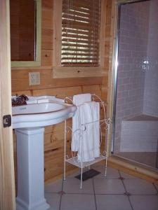 ein Badezimmer mit Waschbecken und Dusche in der Unterkunft Enchanting Riverside Cabin Getaway Near New River, Virginia in Galax