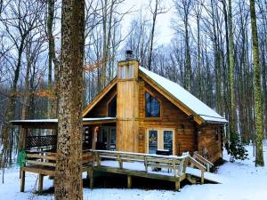 une cabane en rondins dans les bois dans la neige dans l'établissement Secluded Cabin Rental near Watoga State Park in West Virginia, à Hico