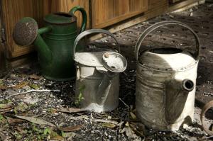 deux vieux seaux sont posés sur le sol dans l'établissement Unique Glamping Rental with Amazing Hiking Trails near Gainesville, Florida, à Fort McCoy