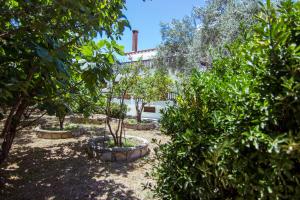 Zahrada ubytování Naftilos Skiathos + 8 fotografií