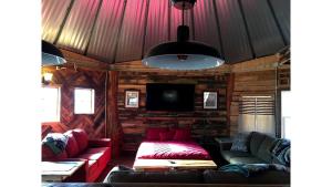 un salon avec un canapé et une télévision dans l'établissement Rustic Octagon-Shaped Cabin for a Glamping Getaway near Huntington, West Virginia, à Genoa