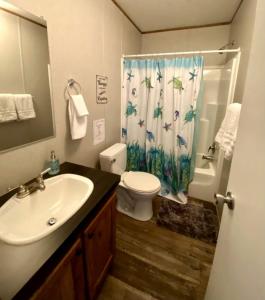 a bathroom with a sink and a toilet and a shower curtain at Off-Grid Cottage with Nice Sights in Dunnellon, Florida in Dunnellon