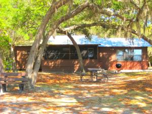 Una cabaña con una mesa de picnic y un banco debajo de un árbol. en Lakefront Weekend Getaway with a Private Dock near the Ocala National Forest, Florida, en Orange Springs