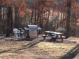 a grill and a picnic table in a park at Cabin Rental with Hot Tub in the New River Gorge Region of West Virginia in Glen Jean