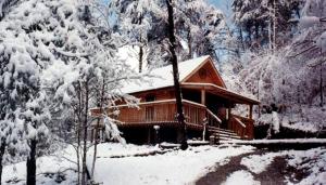 Pet-Friendly Cabin Retreat near Great Smoky Mountain National Park, Tennessee durante el invierno