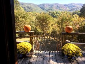 Un paisaje natural cerca de la casa vacacional