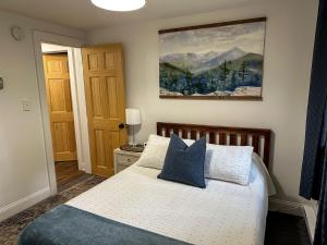 une chambre avec un lit blanc avec des oreillers bleus dans l'établissement Hike & Ski Hideaway @ Lake Placid, NY, à Lake Placid