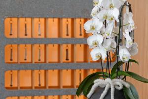a vase filled with white flowers next to a fence at Hotel Madatsch in Trafoi