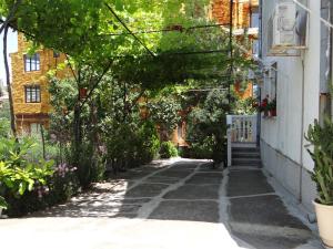 Градина пред Guest House Rusalka