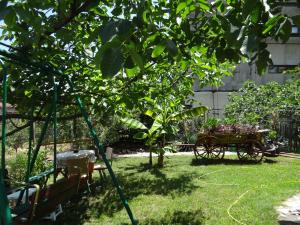 Градина пред Guest House Rusalka