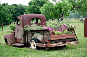 ein alter Lastwagen mit Blumen auf der Ladefläche in der Unterkunft Amazing Aquatic Adventure for the Whole Family: Luxurious Safari Tent near Kingsbury, Texas in Marion + 72 Fotos