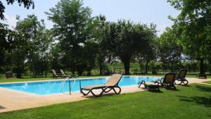 Bazén v ubytovaní Agriturismo L'Albara - Wines, Pool & SPA alebo v jeho blízkosti